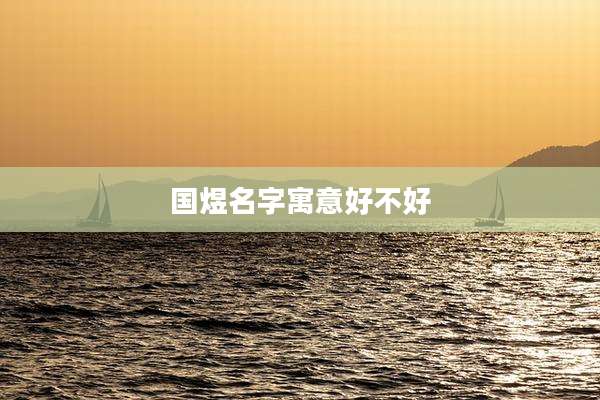 国煜名字寓意好不好
