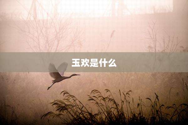 玉欢是什么