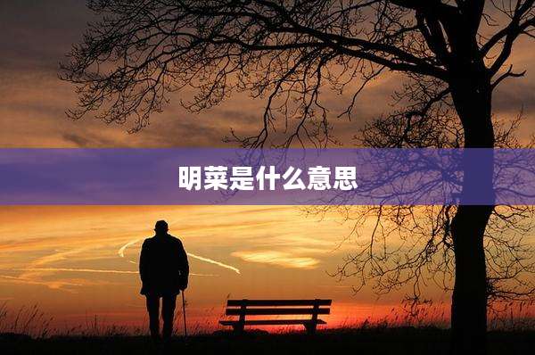 明菜是什么意思
