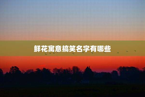 鲜花寓意搞笑名字有哪些