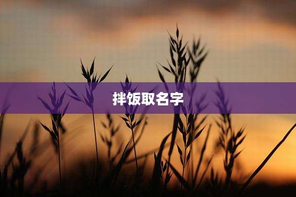 拌饭取名字