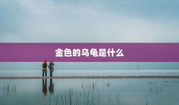 金色的乌龟是什么