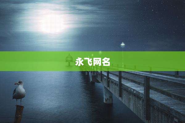永飞网名