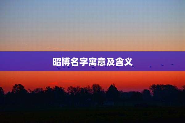 昭博名字寓意及含义