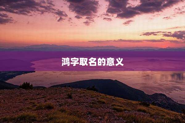 鸿字取名的意义