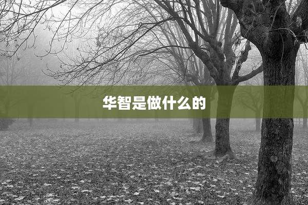 华智是做什么的