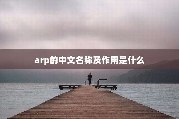 arp的中文名称及作用是什么