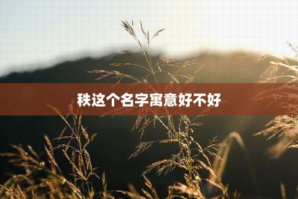 秩这个名字寓意好不好