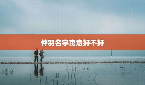 仲羽名字寓意好不好
