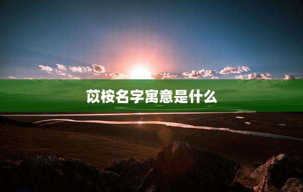 苡桉名字寓意是什么