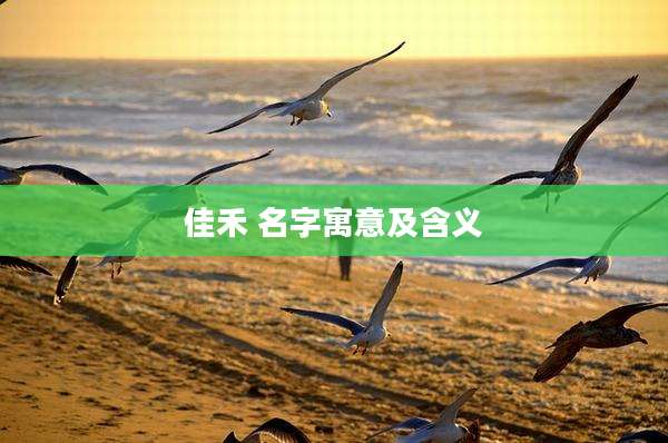 佳禾 名字寓意及含义