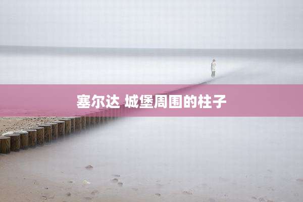 塞尔达 城堡周围的柱子