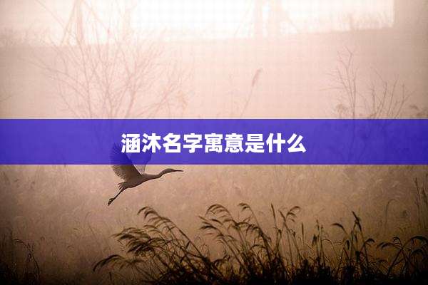 涵沐名字寓意是什么