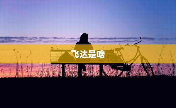 飞达是啥