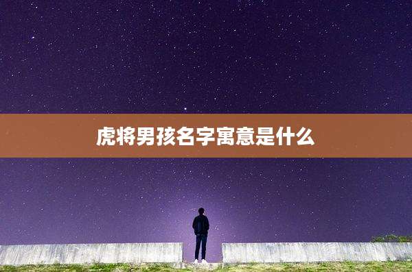虎将男孩名字寓意是什么
