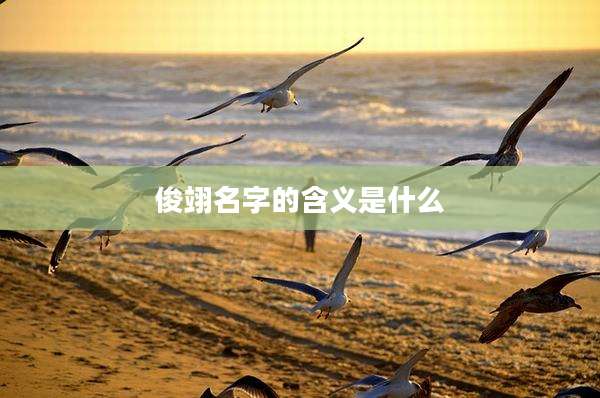 俊翊名字的含义是什么