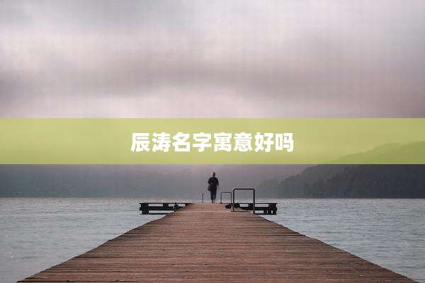 辰涛名字寓意好吗