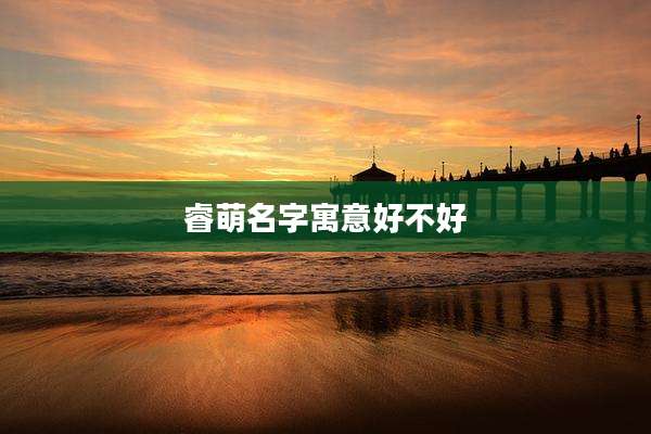 睿萌名字寓意好不好