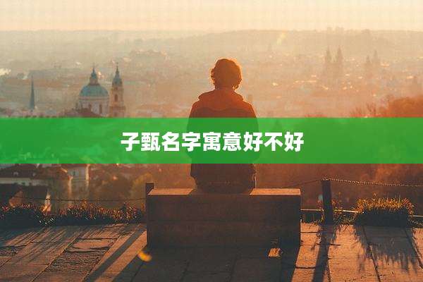 子甄名字寓意好不好