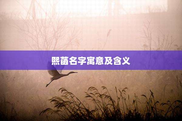 熙菡名字寓意及含义