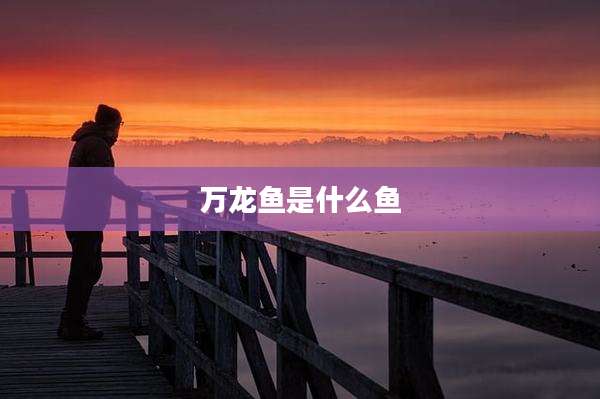 万龙鱼是什么鱼