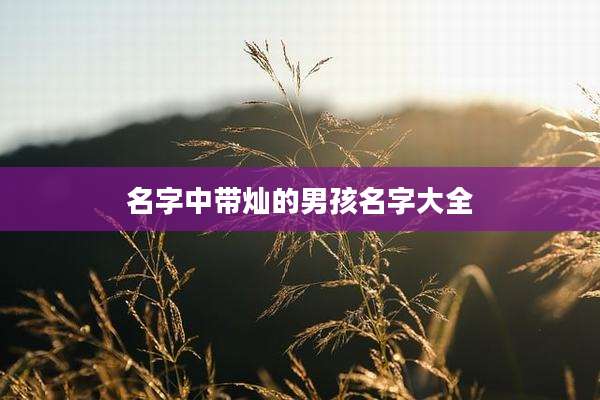 名字中带灿的男孩名字大全