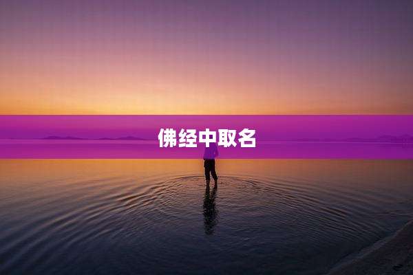 佛经中取名