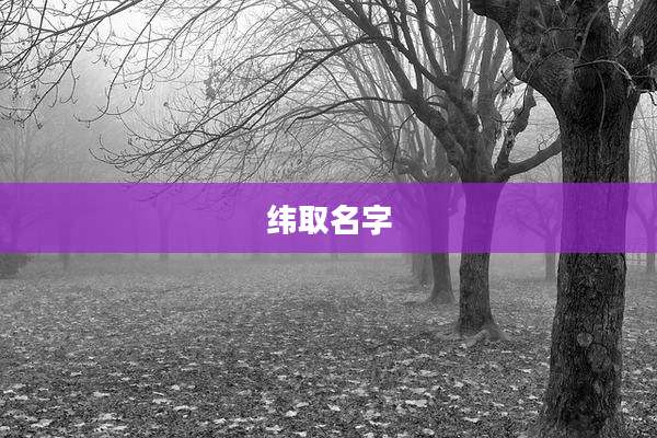纬取名字