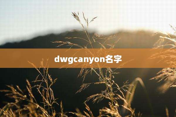 dwgcanyon名字