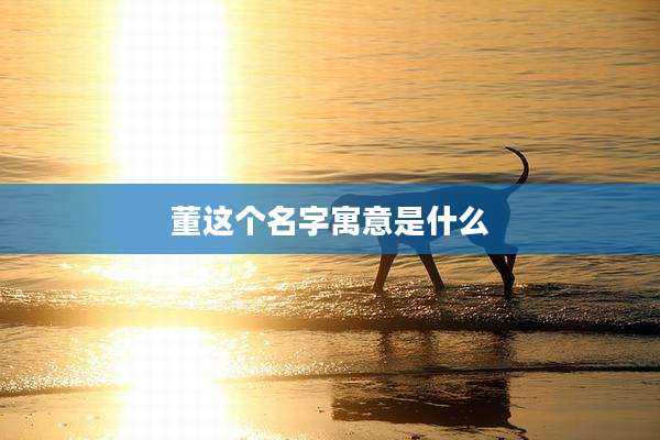 董这个名字寓意是什么