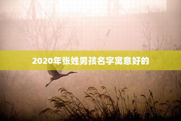2020年张姓男孩名字寓意好的