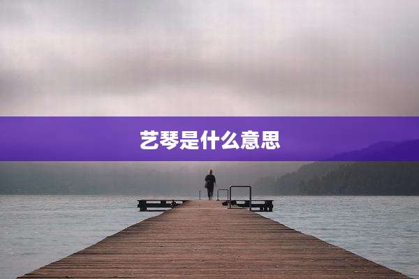 艺琴是什么意思