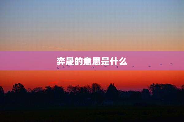 弈晟的意思是什么