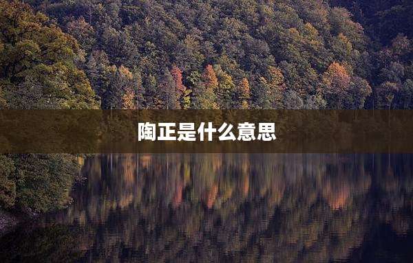 陶正是什么意思