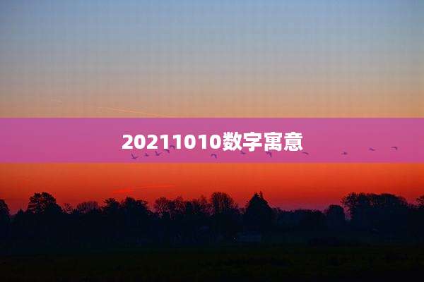 20211010数字寓意