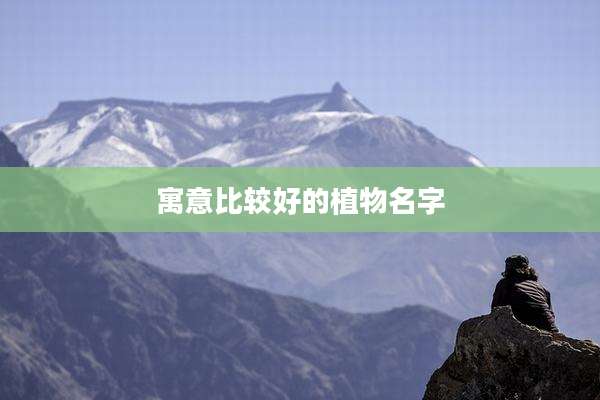 寓意比较好的植物名字