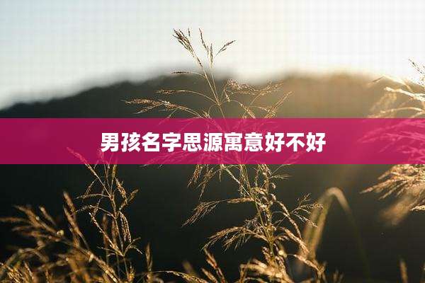男孩名字思源寓意好不好