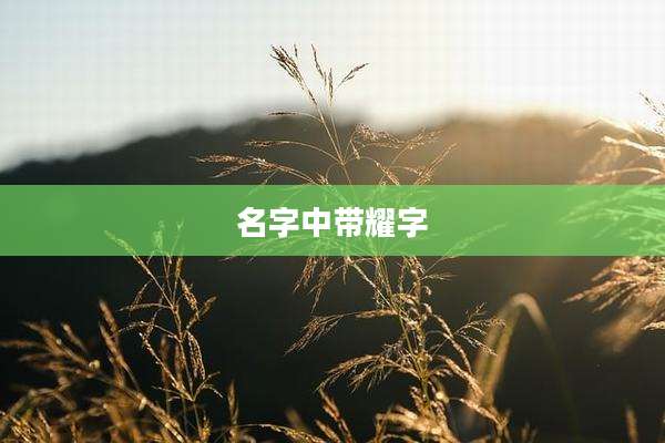 名字中带耀字