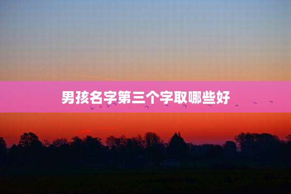 男孩名字第三个字取哪些好