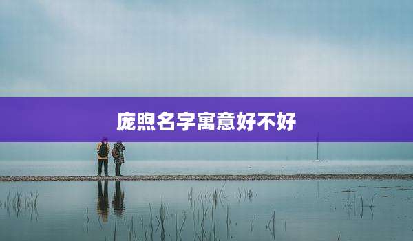 庞煦名字寓意好不好