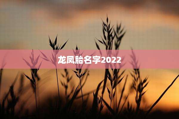 龙凤胎名字2022