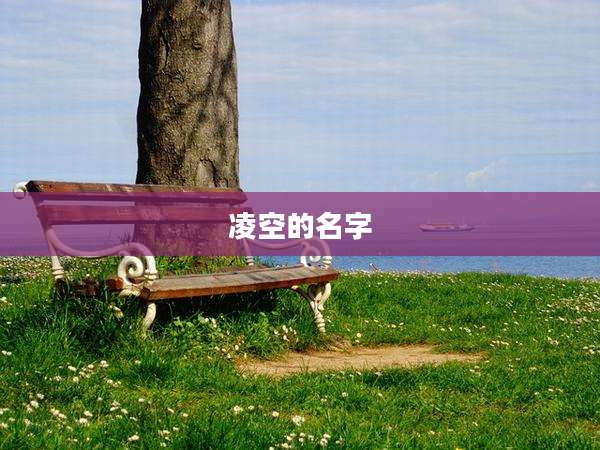 凌空的名字