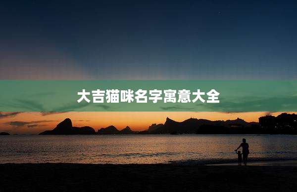 大吉猫咪名字寓意大全