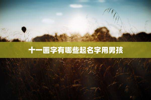 十一画字有哪些起名字用男孩