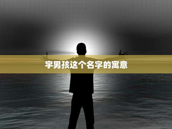 宇男孩这个名字的寓意