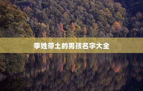 李姓带土的男孩名字大全