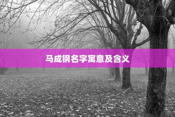 马成钢名字寓意及含义