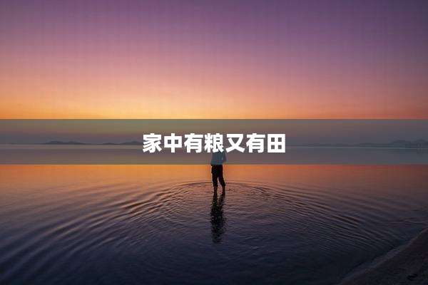 家中有粮又有田