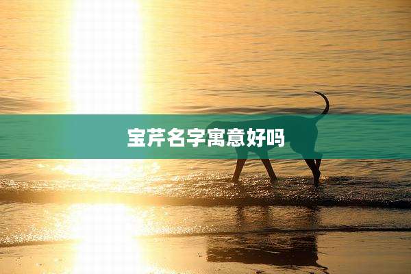 宝芹名字寓意好吗