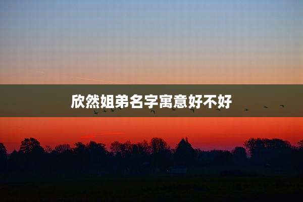 欣然姐弟名字寓意好不好